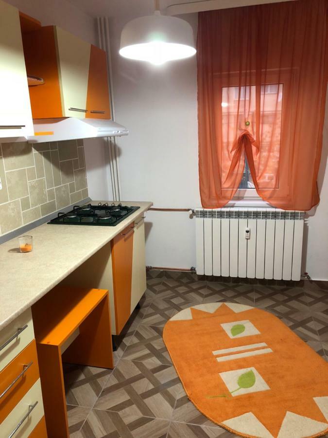 Apartament Kiseleff Drobeta Turnu Severin Esterno foto